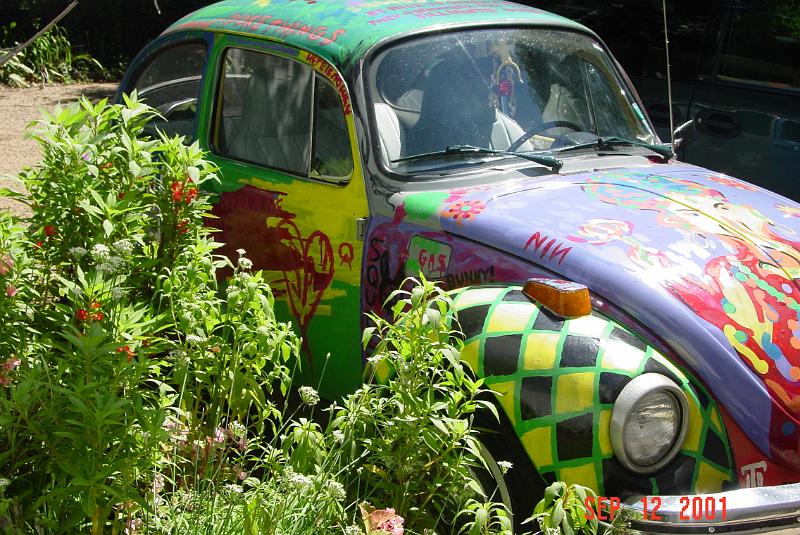 nimby in bushes1.jpg